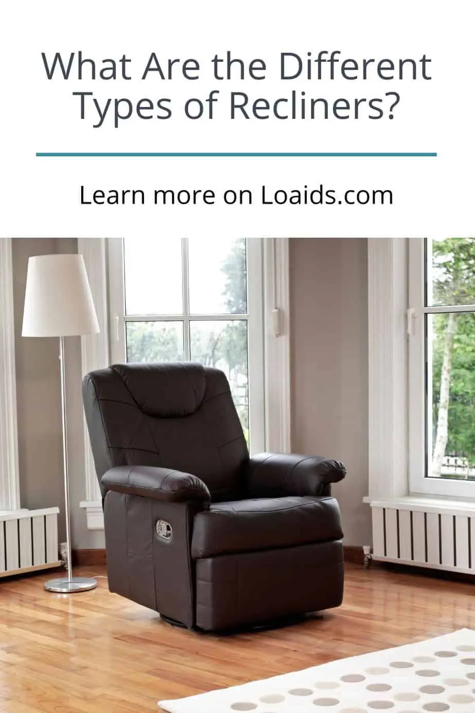 What Are The Different Types Of Recliners? [11 Options]